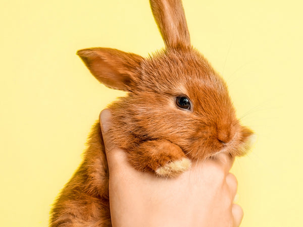 Cruelty-Free Skin Care